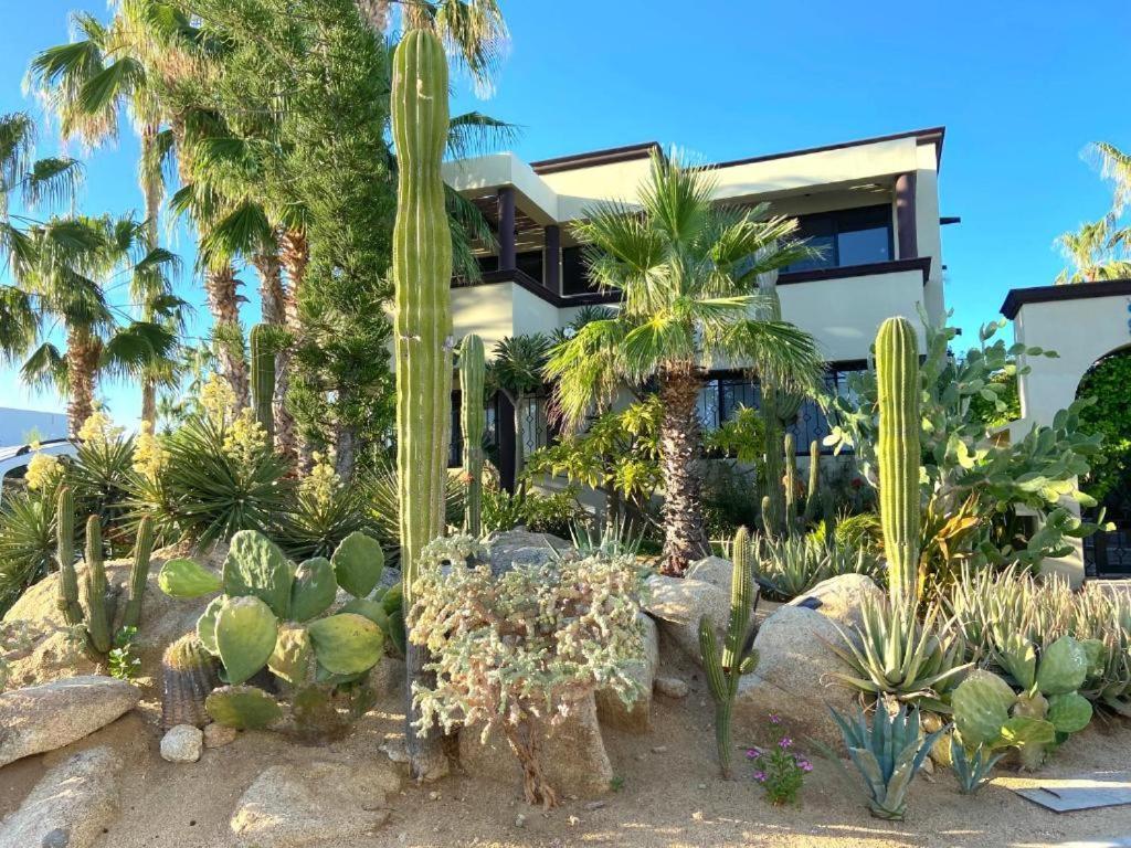 Spectacular Vacation Home Ocean View Walk To Beach Cabo San Lucas Exteriör bild